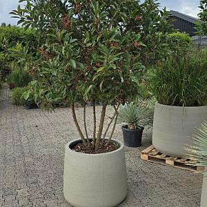 Jumbo Patt XS, Beige Washed 73 x H 61cm.