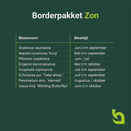 Borderpakket Zon 3m²
