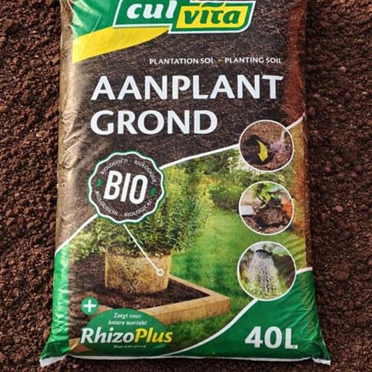 Aanplantgrond 