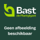 Bast de Plantgigant